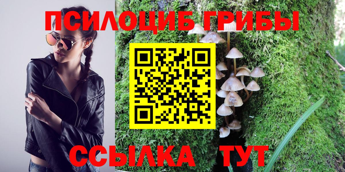 Галлюциногенные грибы Psilocybine cubensis Воронеж