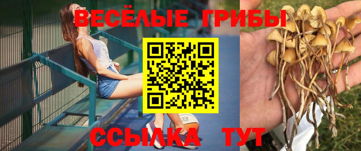 Псилоцибиновые грибы мухоморы  Вход с VPN  Галлюциногенные грибы прущие грибы  Воронеж 