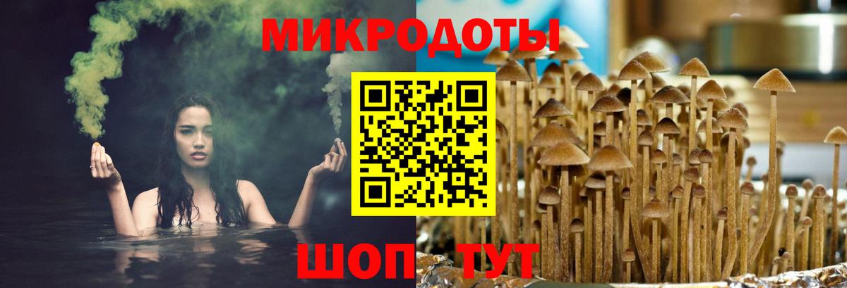 Галлюциногенные грибы Cubensis  Воронеж 